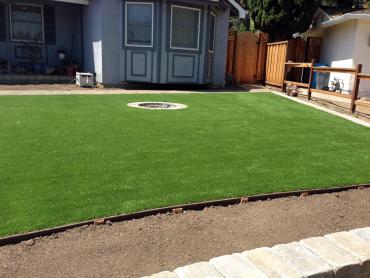 Artificial Grass Photos: Synthetic Grass Bedias, Texas Landscaping, Front Yard Landscaping