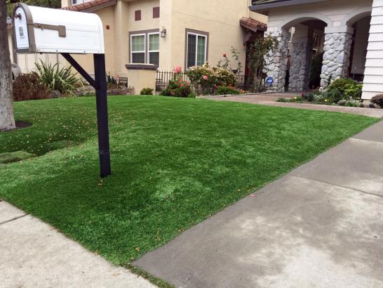 Artificial Grass Photos: Synthetic Grass Cost Glidden, Texas Backyard Deck Ideas, Front Yard Landscape Ideas