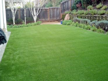 Artificial Grass Photos: Synthetic Grass Cost Lexington, Texas Lawn And Garden, Backyard Designs