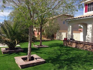 Artificial Grass Photos: Synthetic Grass Cost Orange, Texas Landscaping, Front Yard Landscaping Ideas