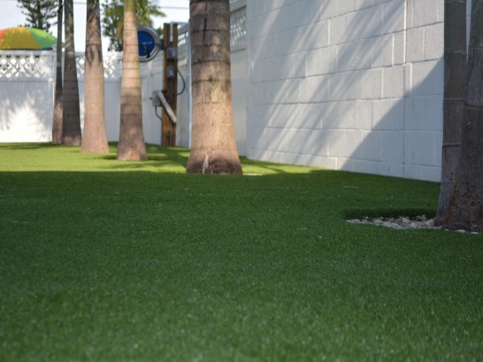 Artificial Grass Photos: Synthetic Grass Cost San Augustine, Texas Garden Ideas, Commercial Landscape