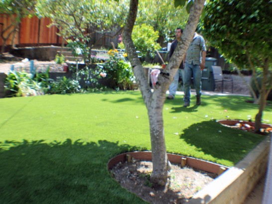 Artificial Grass Photos: Synthetic Grass Nacogdoches, Texas Lawns, Backyard Landscape Ideas