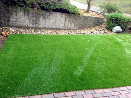 Artificial Grass Photos: Synthetic Grass Wild Peach Village, Texas Lawns, Landscaping Ideas For Front Yard