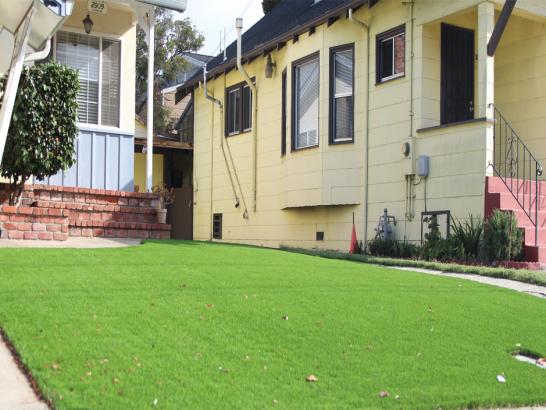 Artificial Grass Photos: Synthetic Lawn Beaumont, Texas Roof Top, Front Yard Landscape Ideas