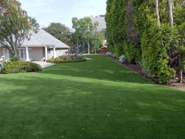 Artificial Grass Photos: Synthetic Lawn Nacogdoches, Texas Cat Playground, Small Front Yard Landscaping