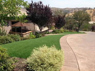 Artificial Grass Photos: Synthetic Lawn Pinewood Estates, Texas Landscape Design, Front Yard