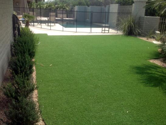 Artificial Grass Photos: Synthetic Turf Brookshire, Texas Gardeners, Natural Swimming Pools
