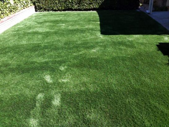 Artificial Grass Photos: Synthetic Turf Supplier Clear Lake Shores, Texas Dog Hospital, Backyard Garden Ideas