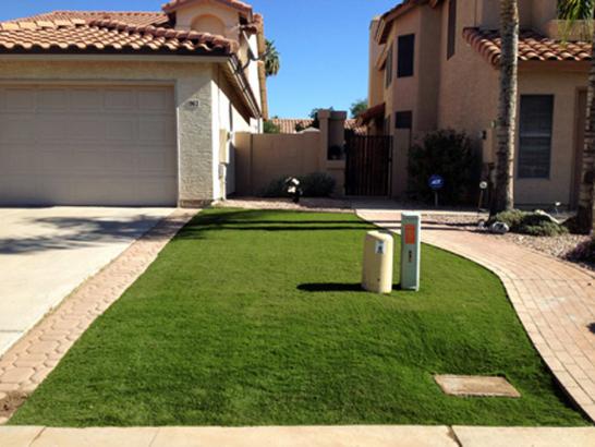 Artificial Grass Photos: Synthetic Turf Supplier Cooper, Texas Design Ideas, Front Yard Ideas