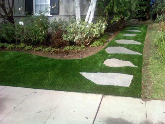 Artificial Grass Photos: Synthetic Turf Supplier Fairchilds, Texas Design Ideas, Front Yard