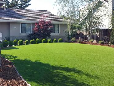 Artificial Grass Photos: Synthetic Turf Supplier Nome, Texas Roof Top, Front Yard Design