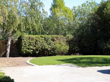 Artificial Grass Photos: Synthetic Turf Supplier Runge, Texas Lawn And Landscape, Backyard Landscaping
