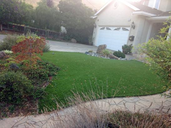 Artificial Grass Photos: Synthetic Turf Supplier Todd Mission, Texas Backyard Playground, Front Yard Landscaping Ideas