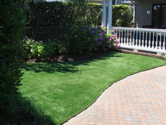 Artificial Grass Photos: Synthetic Turf Webster, Texas Landscaping Business, Front Yard Landscaping Ideas