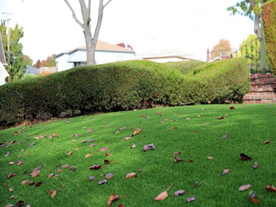 Artificial Grass Photos: Turf Grass El Campo, Texas Rooftop, Front Yard Landscaping