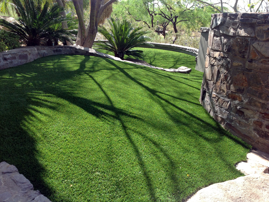 Artificial Grass: Outdoor Carpet Highlands, Texas Dog Grass