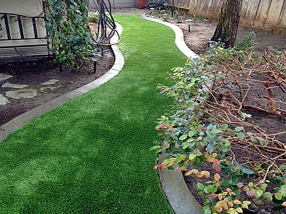 Artificial Grass: Outdoor Carpet McDade, Texas Home And Garden, Backyard Landscaping Ideas