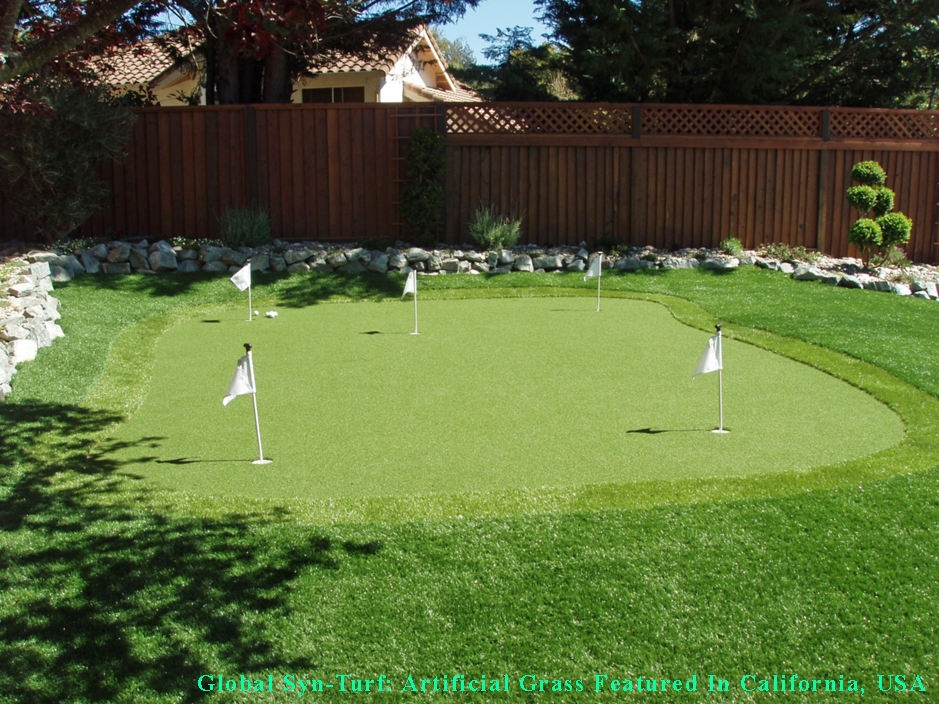 Artificial Grass: Outdoor Carpet Piney Point Village, Texas Lawns, Backyard Ideas