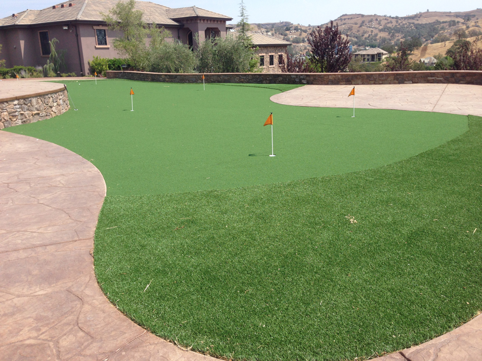 Artificial Grass: Synthetic Grass Cost Gonzales, Texas Landscape Design