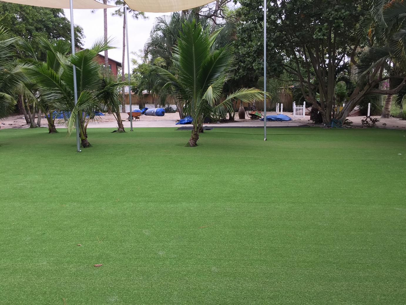 Artificial Grass: Synthetic Grass Cost Pflugerville, Texas Lawns, Commercial Landscape