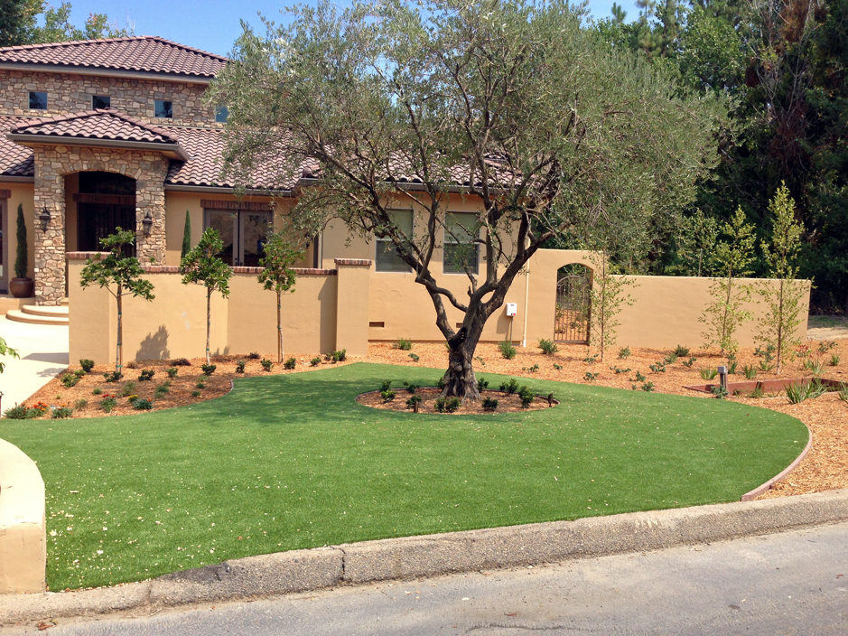 Artificial Grass: Synthetic Grass Cost Surfside Beach, Texas Roof Top, Front Yard Landscaping
