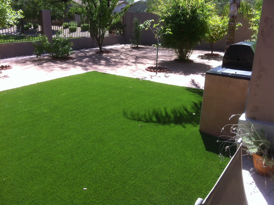 Artificial Grass: Synthetic Grass Teague, Texas Rooftop,  Dog Kennels