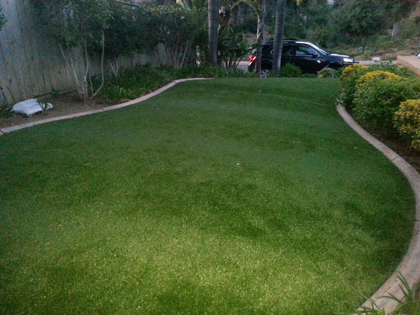 Artificial Grass: Synthetic Lawn Round Rock, Texas Gardeners, Front Yard Design