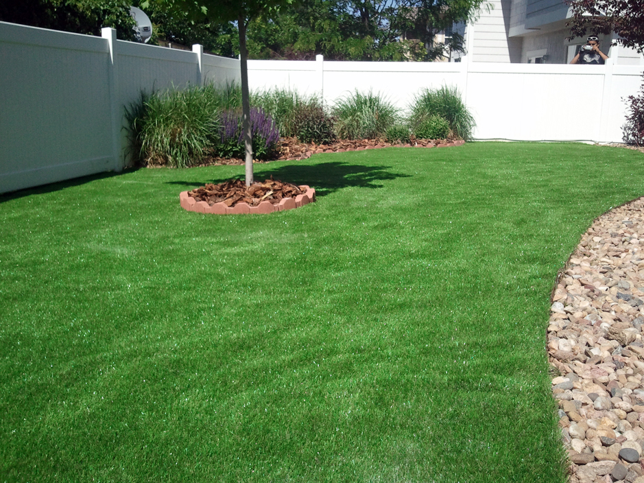 Artificial Grass: Synthetic Turf Barrett, Texas Backyard Playground, Backyard Design