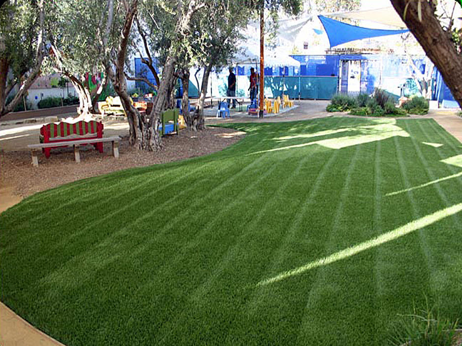 Artificial Grass: Synthetic Turf Supplier Kingsbury, Texas Landscape Design, Commercial Landscape