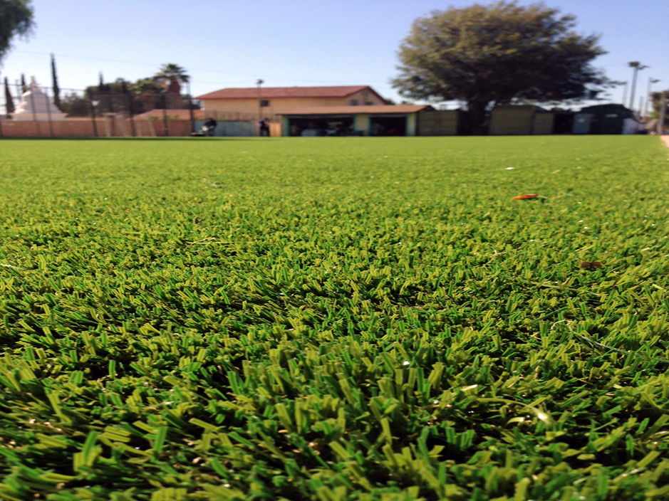 Artificial Grass: Synthetic Turf Wharton, Texas Landscaping Business