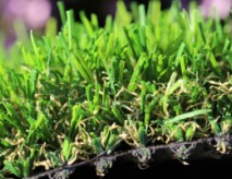 Natural Looking Synthetic Turf