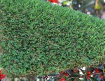 Artificial Grass United States
