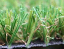 Safest Artificial Turf Grass