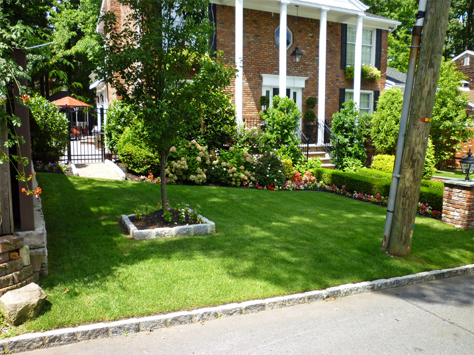 Front yard Landscape idea - trees and arks