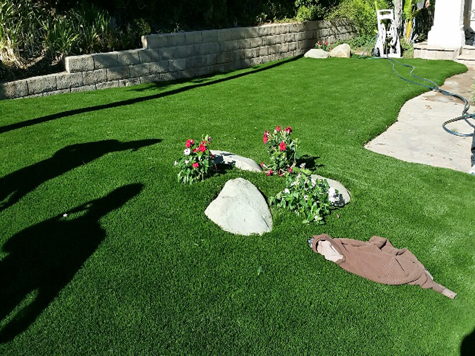 Artificial Grass Georgetown Texas Lawns Landscaping Ideas For Front Yard